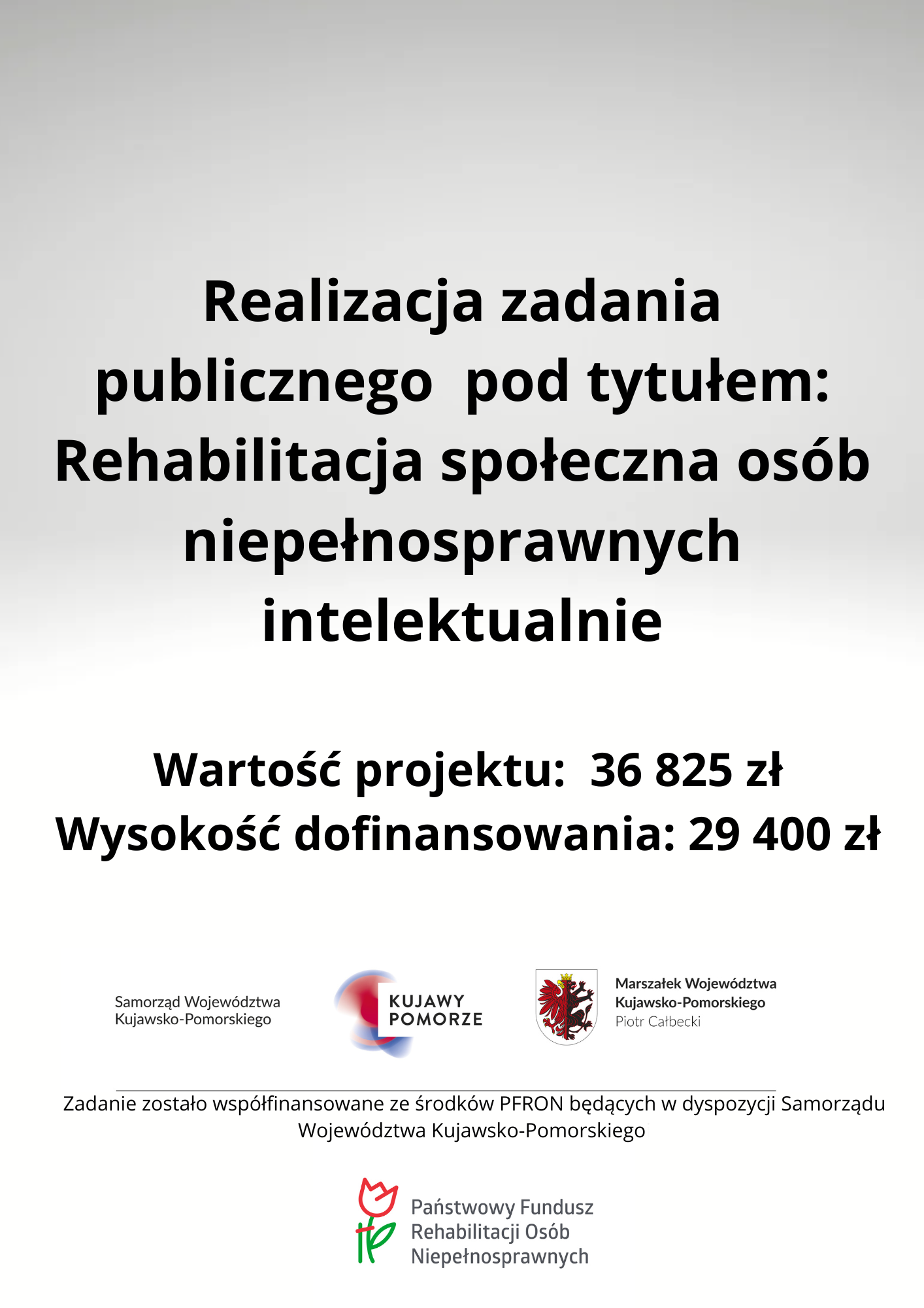 Realizacja zadania publicznego pod tytułem Rehabilitacja społeczna osób niepełnosprawnych intelektualnie (1)